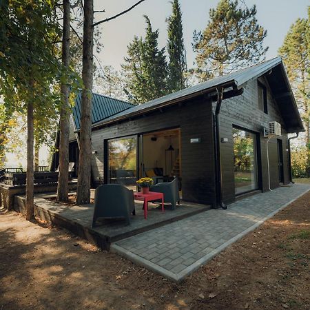 Kuca Za Odmor Vrdnik Villa Kültér fotó