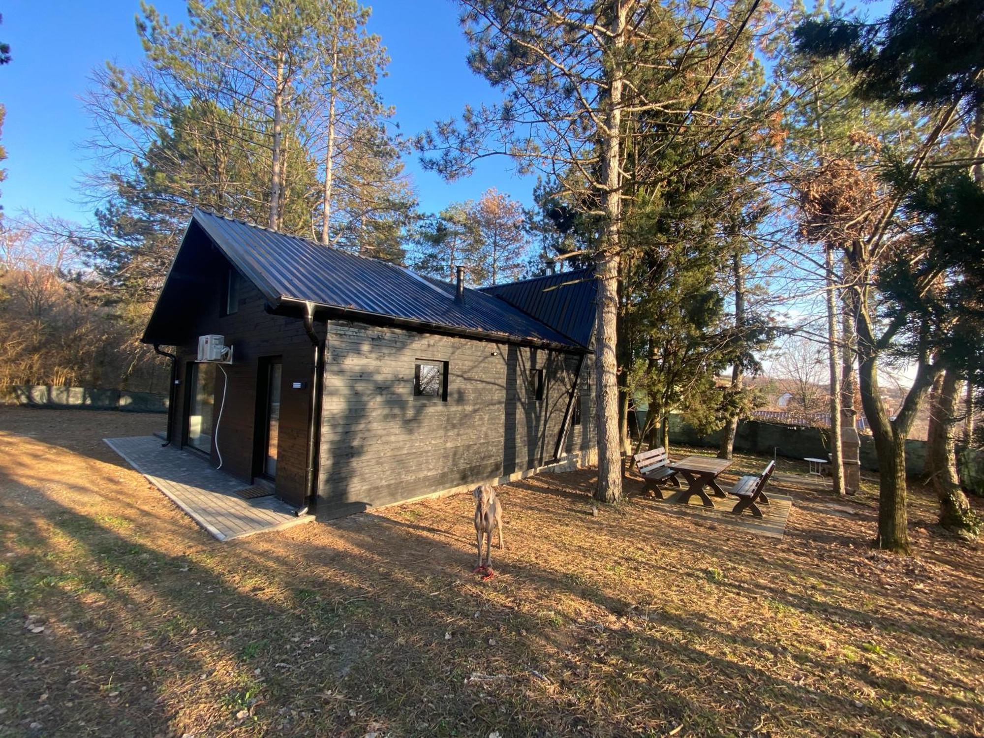 Kuca Za Odmor Vrdnik Villa Kültér fotó