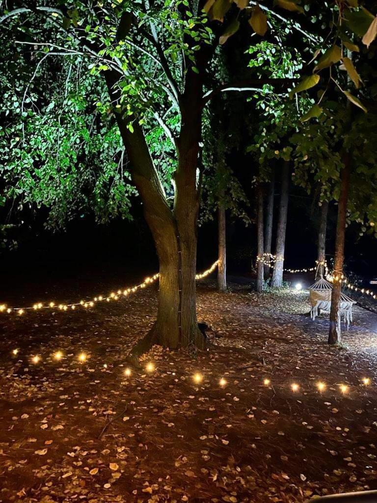 Kuca Za Odmor Vrdnik Villa Kültér fotó
