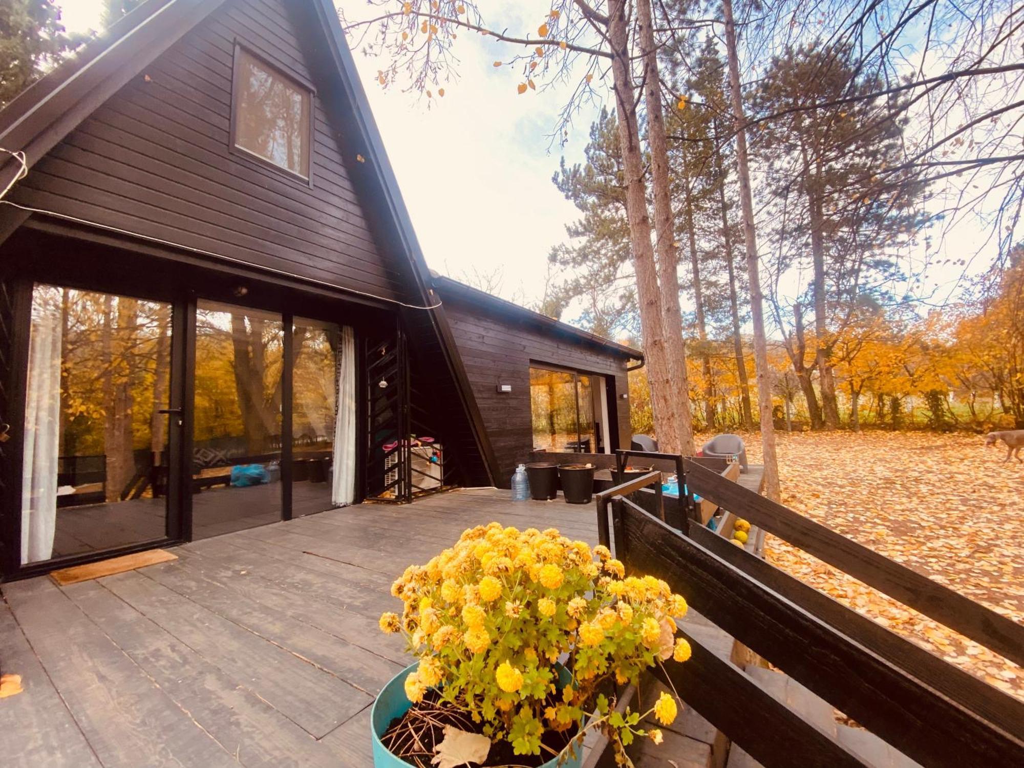 Kuca Za Odmor Vrdnik Villa Kültér fotó
