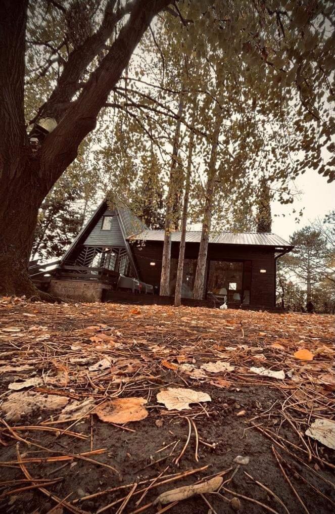 Kuca Za Odmor Vrdnik Villa Kültér fotó